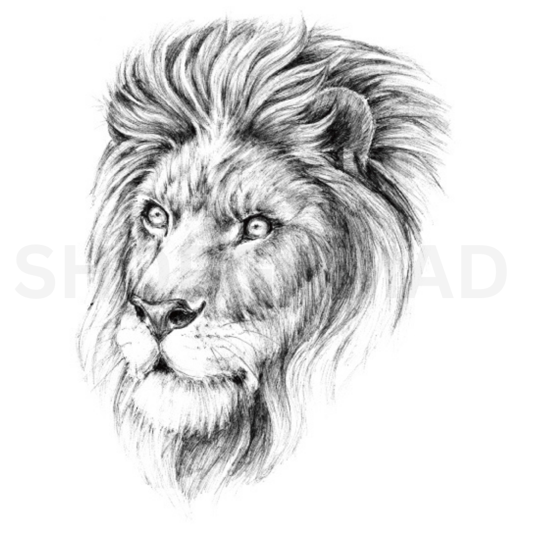 Roar temporary Tattoo By ShopGomad