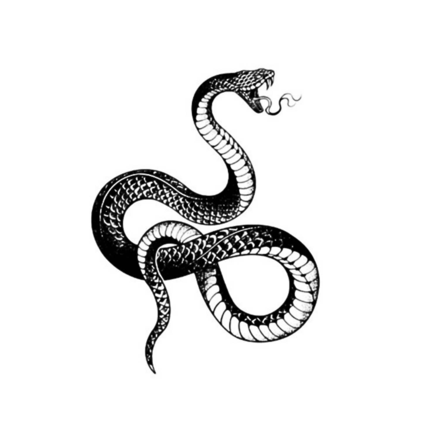 Snake Semi Permanent Ink Tattoo By ShopGomad