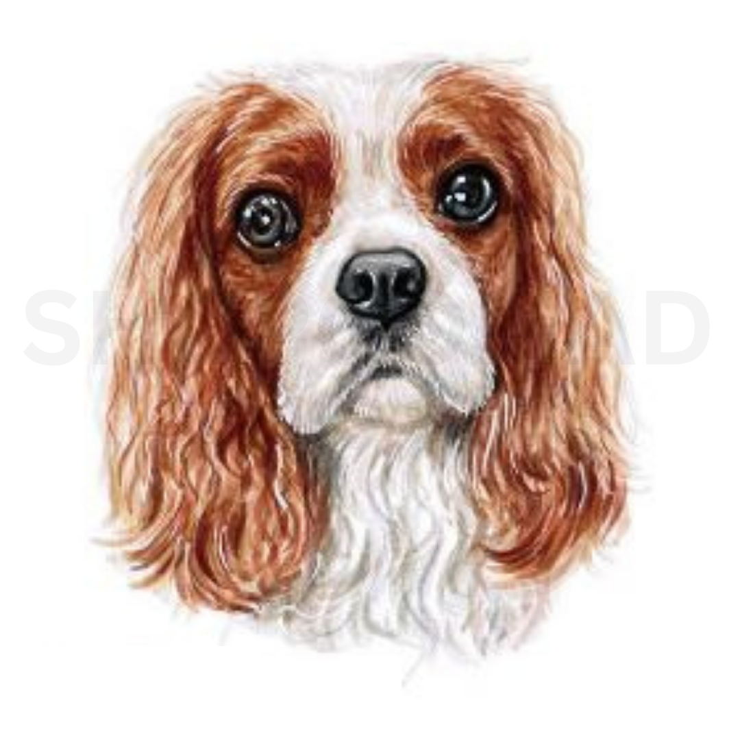 Cavalier King Charles Spaniel Temporary Tattoo By ShopGomad